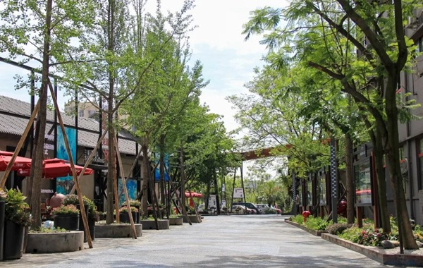 普华单招开学通知！