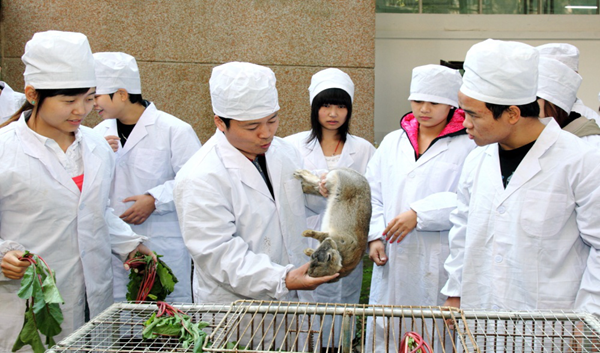 畜牧业类（动物医学、畜牧兽医、宠物医疗技术、动物防疫与检疫）